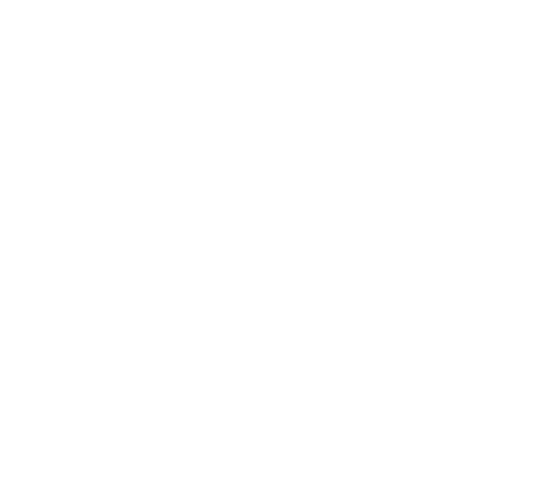 PTI WebTech Automatic