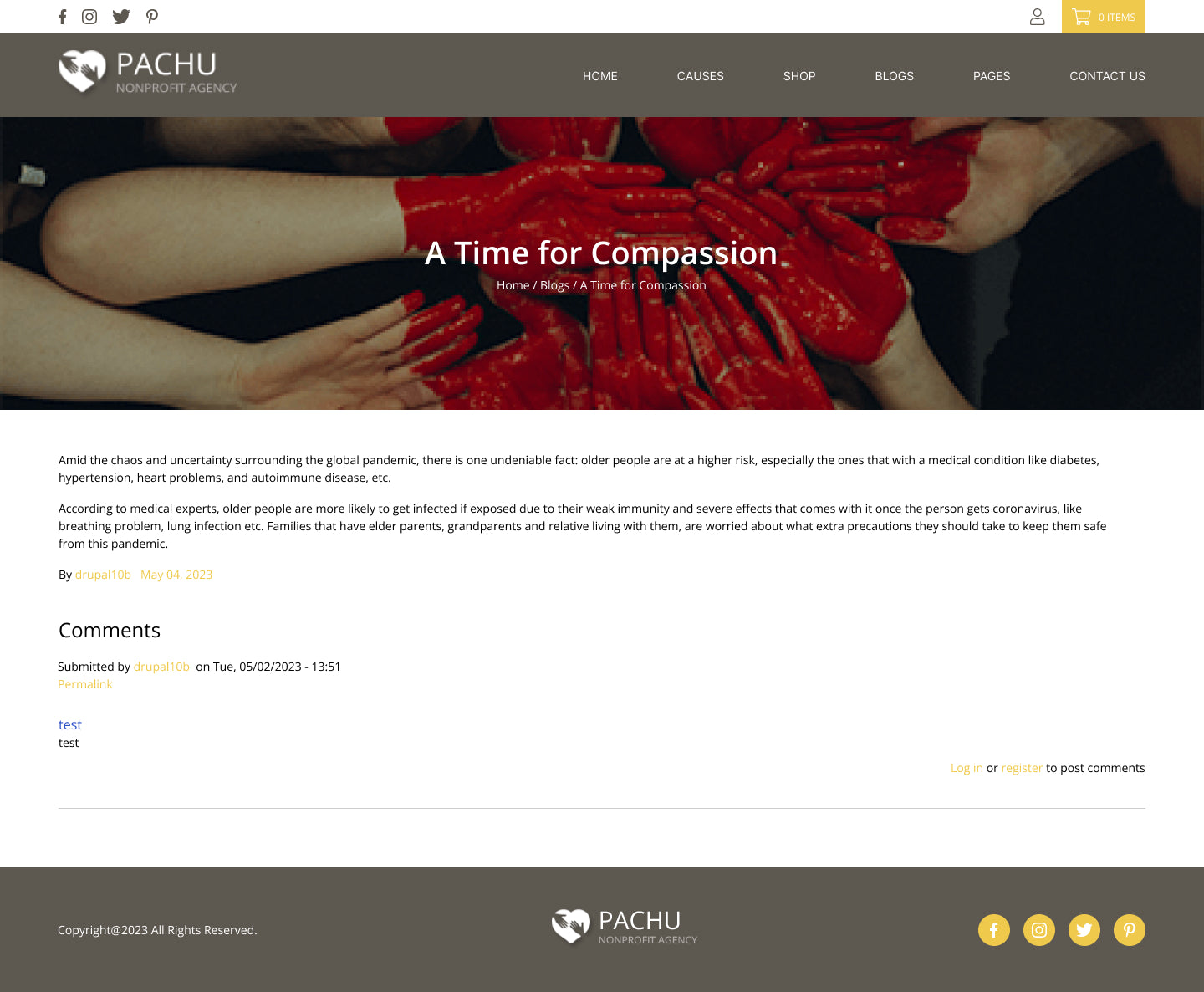 Pachu - Charity, NGO, Non Profit website PSD and Figma template