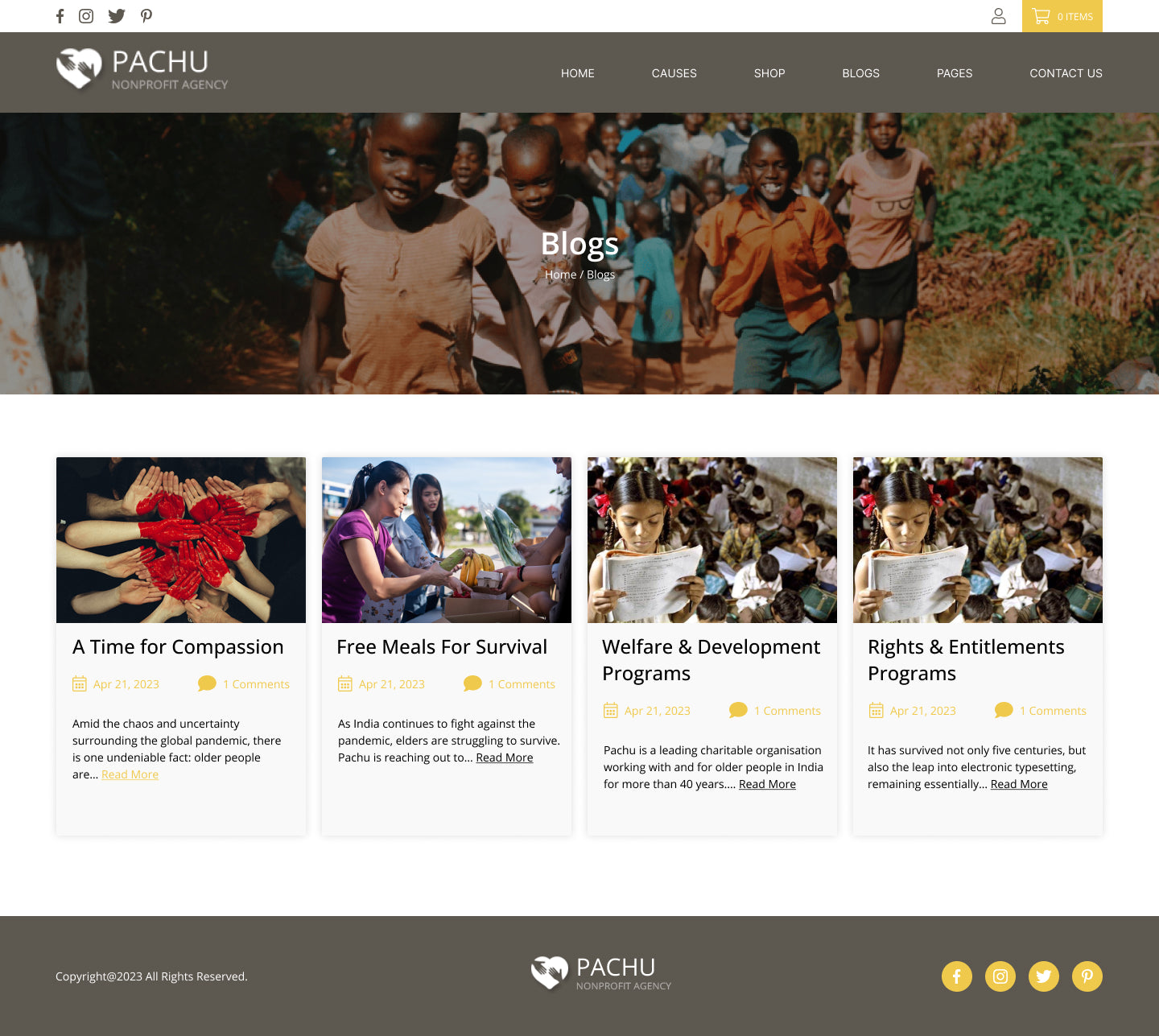 Pachu - Charity, NGO, Non Profit website PSD and Figma template