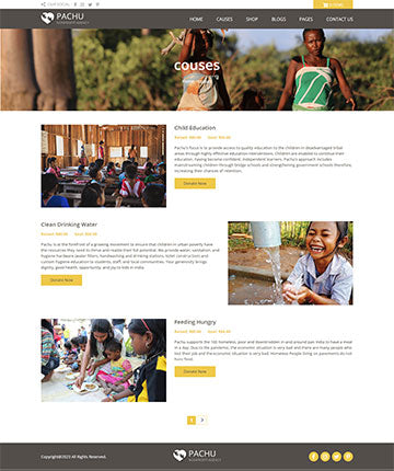 Pachu - NGO/Non Profit Drupal theme