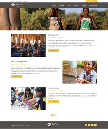 Pachu - NGO/Non Profit Wordpress theme