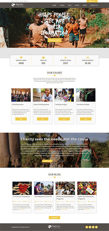 Pachu - NGO/Non Profit Wordpress theme