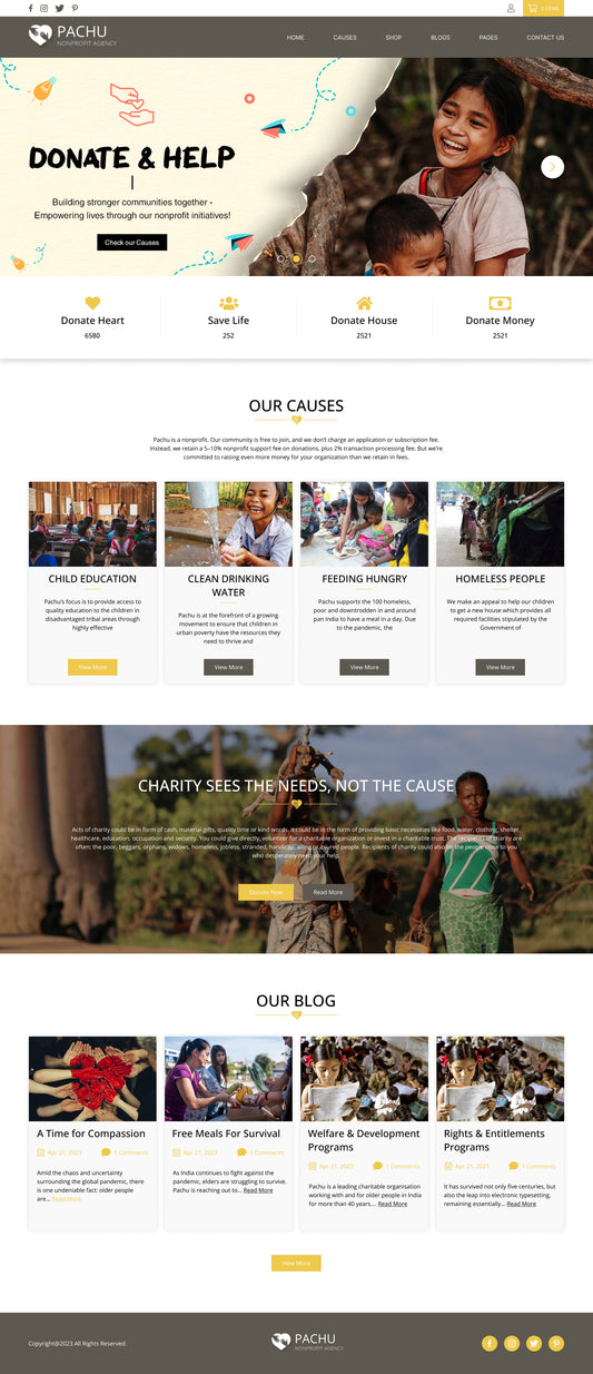 Pachu - Charity, NGO, Non Profit website PSD and Figma template