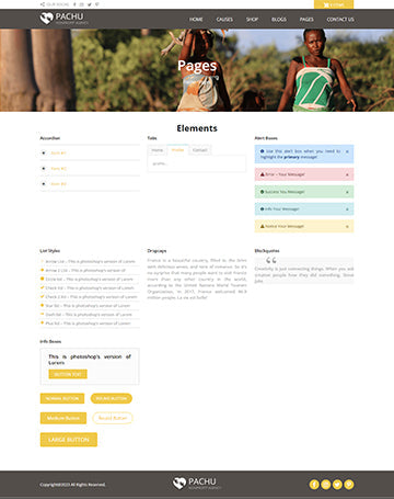 Pachu - NGO/Non Profit Wordpress theme