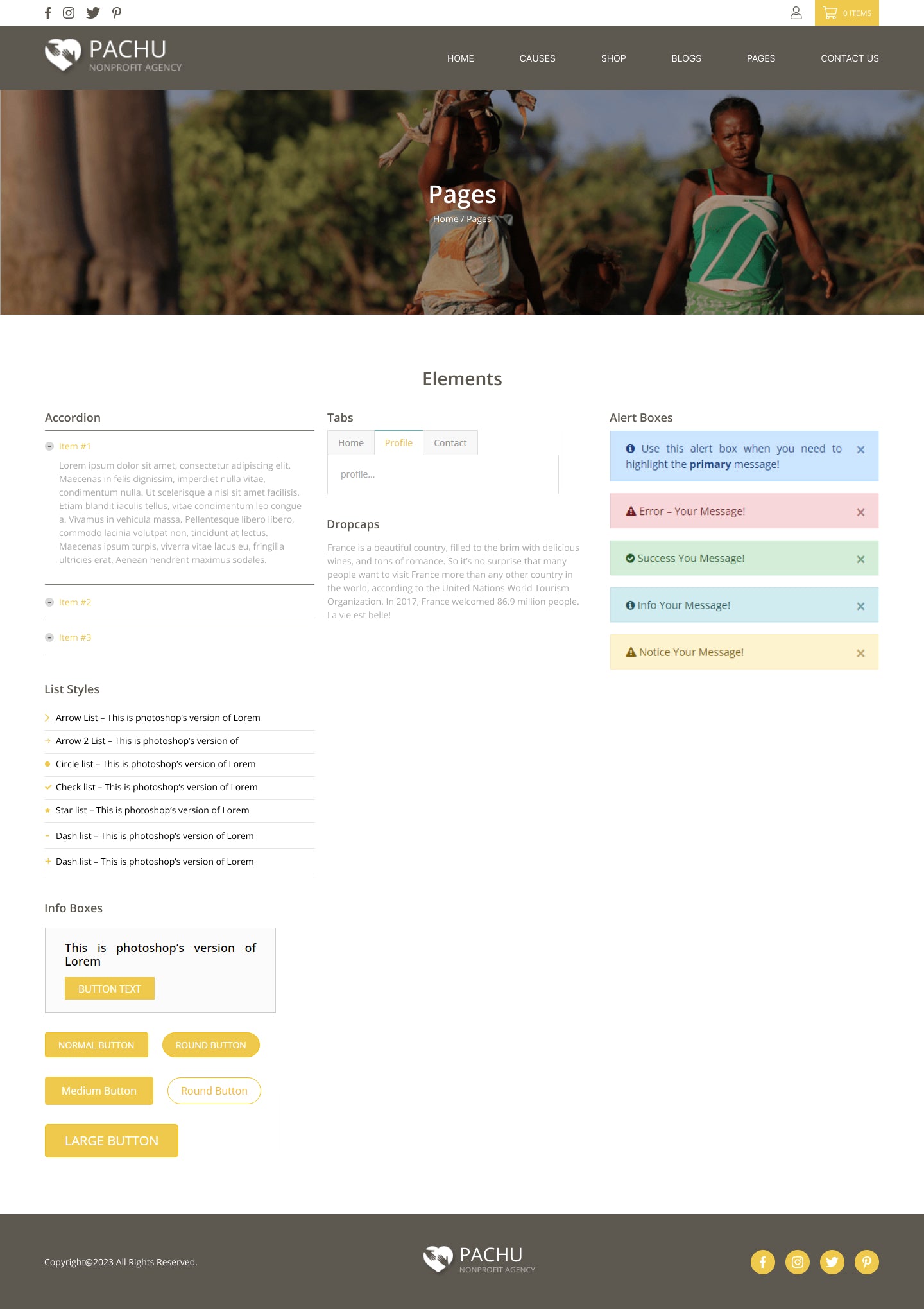 Pachu - Charity, NGO, Non Profit website PSD and Figma template