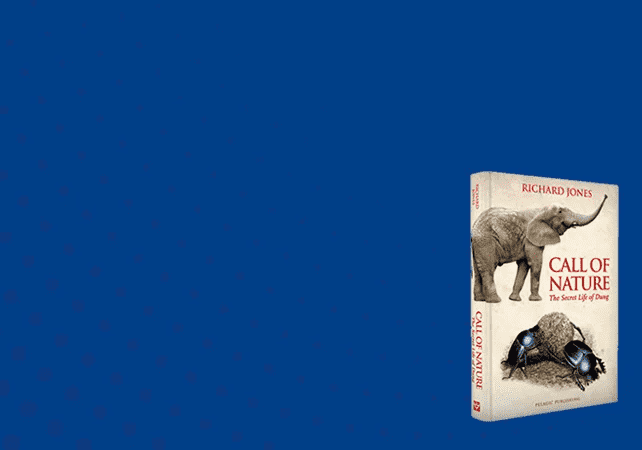 ptiwebtech-Pelagic-Publishing