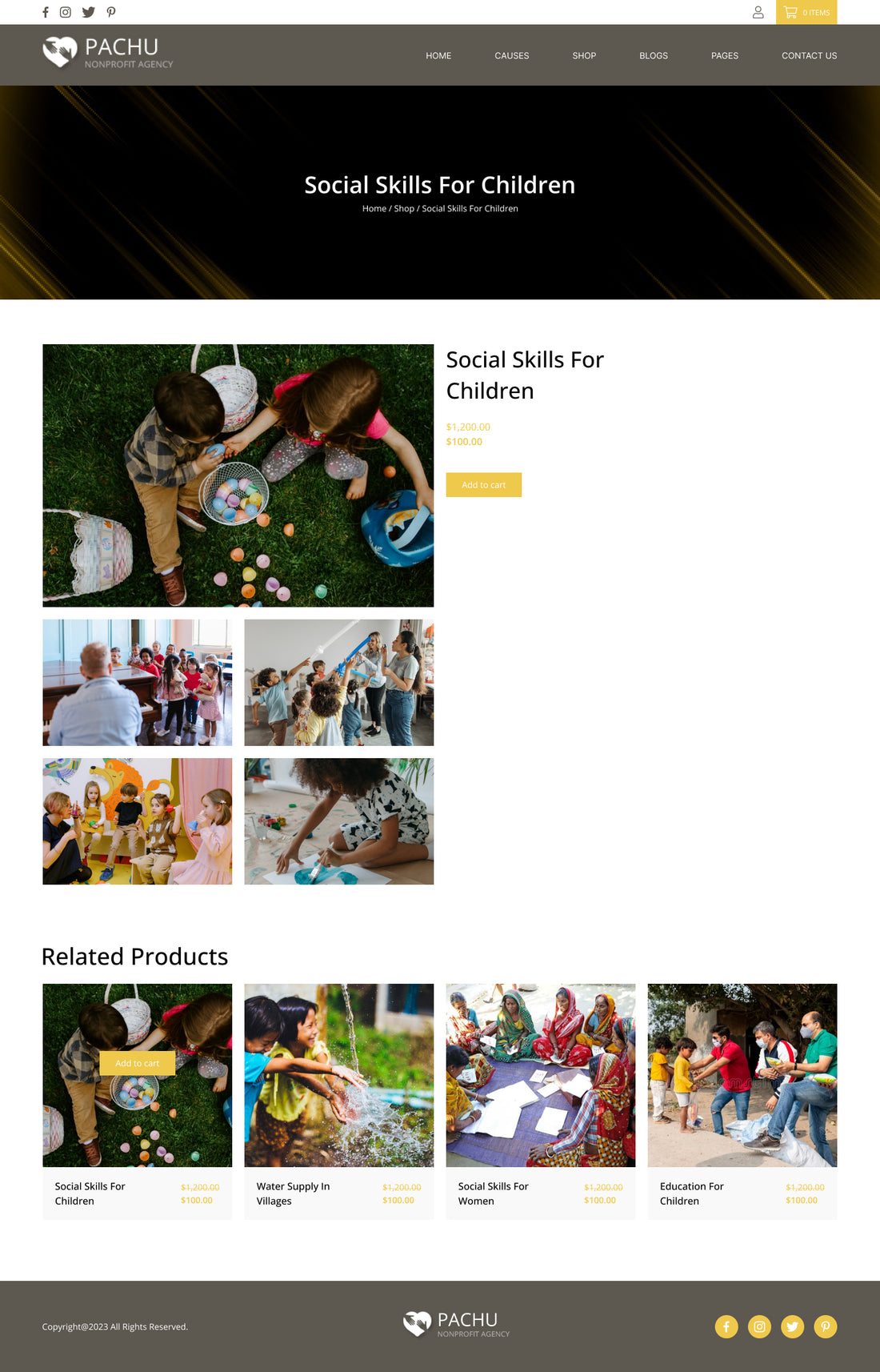 Pachu - Charity, NGO, Non Profit website PSD and Figma template