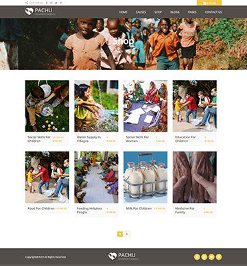 Pachu - NGO/Non Profit Drupal theme