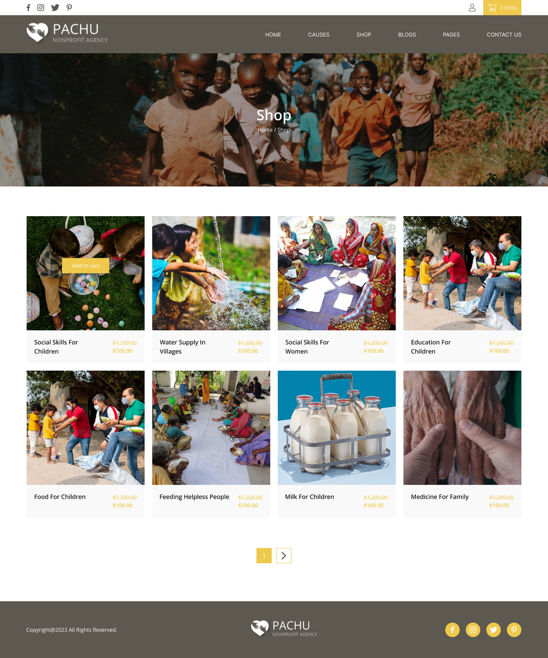 Pachu - Charity, NGO, Non Profit website PSD and Figma template