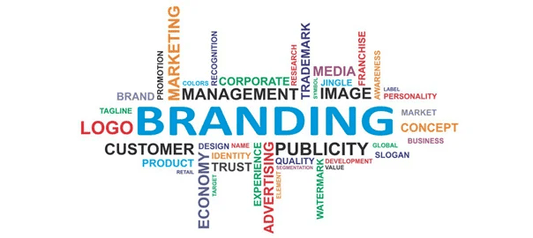 Selling On Amazon/Flipkart/Paytm? 6 Reasons You Can’t Ignore Building Your Brand.