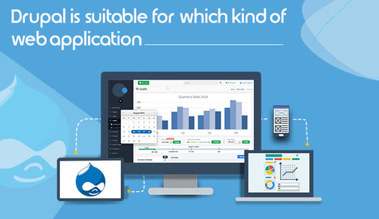 Is Drupal Right for Your Web Application? Understanding the Types of Projects Best Suited for Drupal CMS