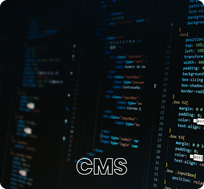 Custom_CMS_Development