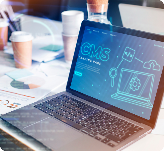 Custom_CMS_solution