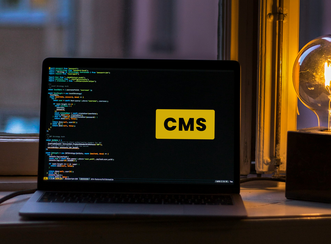 Why-Choose-custom-cms