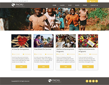 Pachu - NGO/Non Profit Wordpress theme