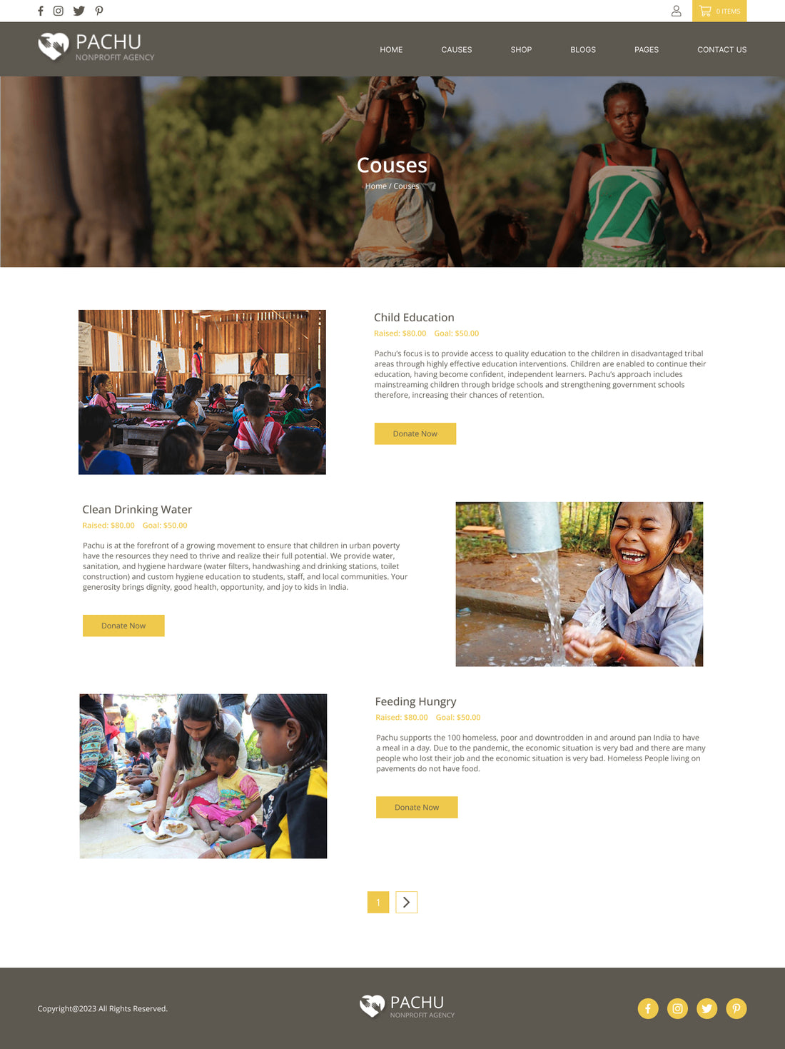 Pachu - Charity, NGO, Non Profit website PSD and Figma template
