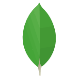 devicon_mongodb